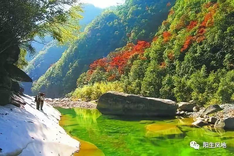 迷失在荒野